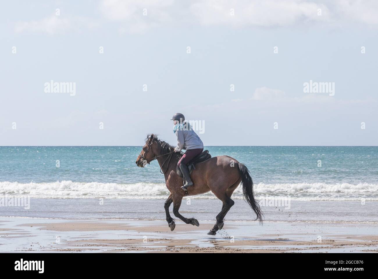 Red Strand, Cork, Ireland. 07th August, 2021.  Lauren Crowley on Esmeralda go for an early morning gallop on Red Strand in West Cork, Ireland. - Picture; David Creedon / Alamy Live News Stock Photo