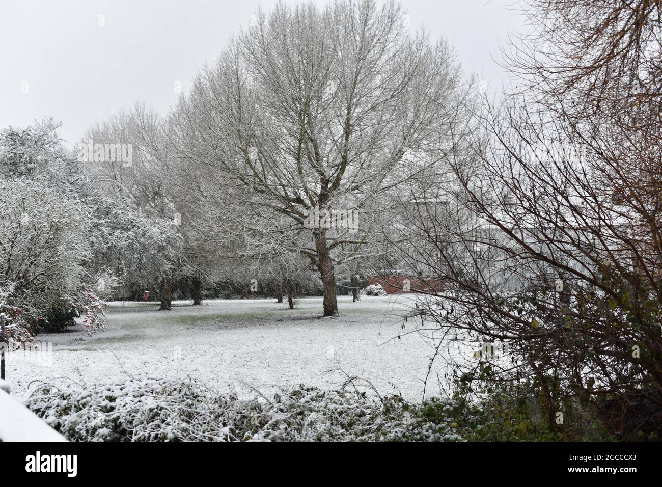 A snowy day in a park near Hendon, London, UK Stock Photo