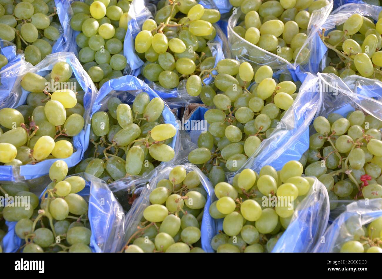 Obst und Gemüse Stock Photo