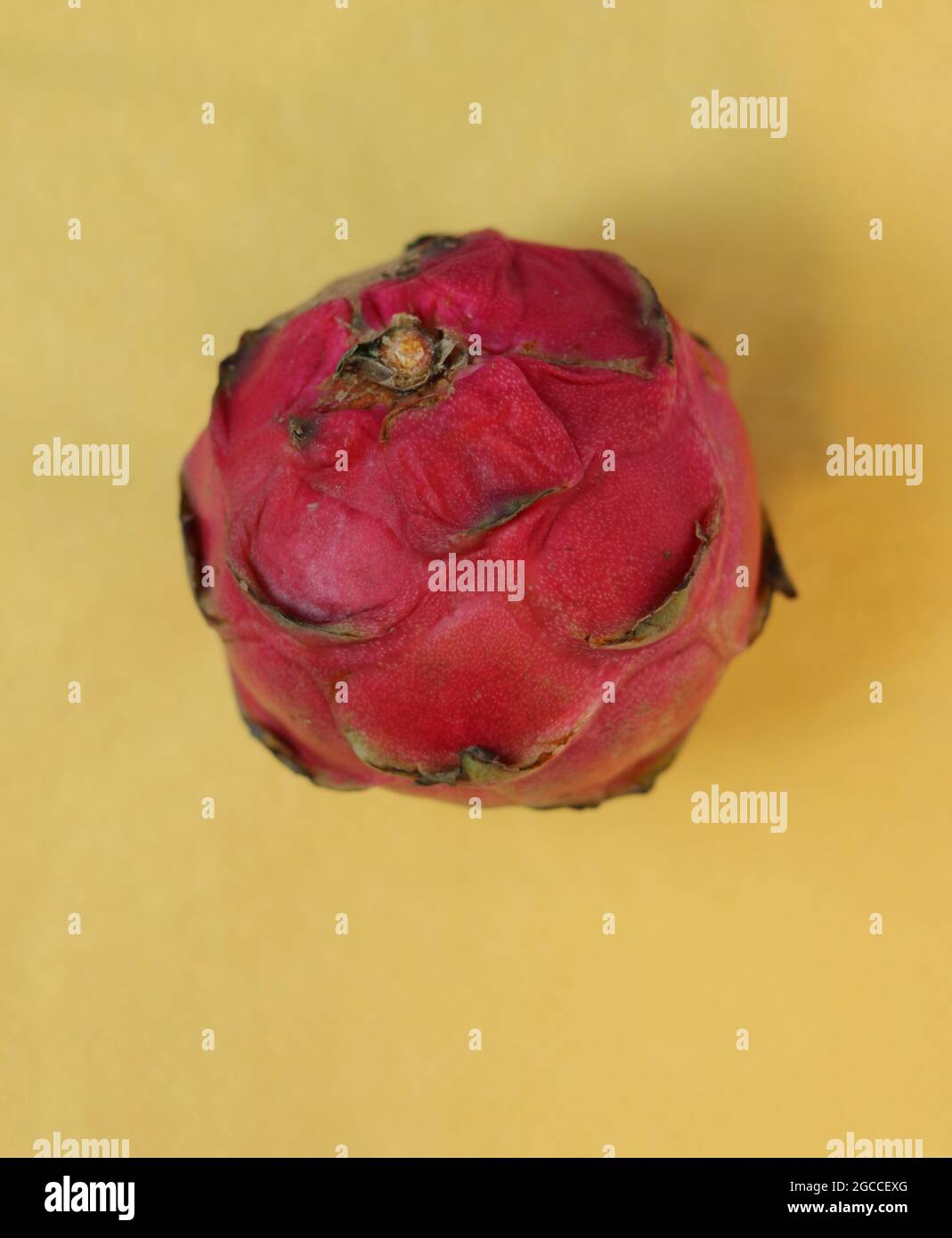 Single pink textured pitaya on yellow background with copy space Stock Photo