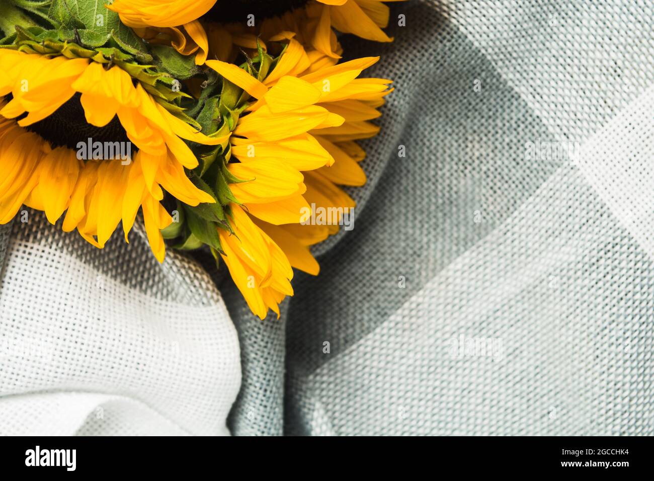 Beautiful bouquet of authentic yellow sunflowers on grey plaid. Closeup view Stock Photo
