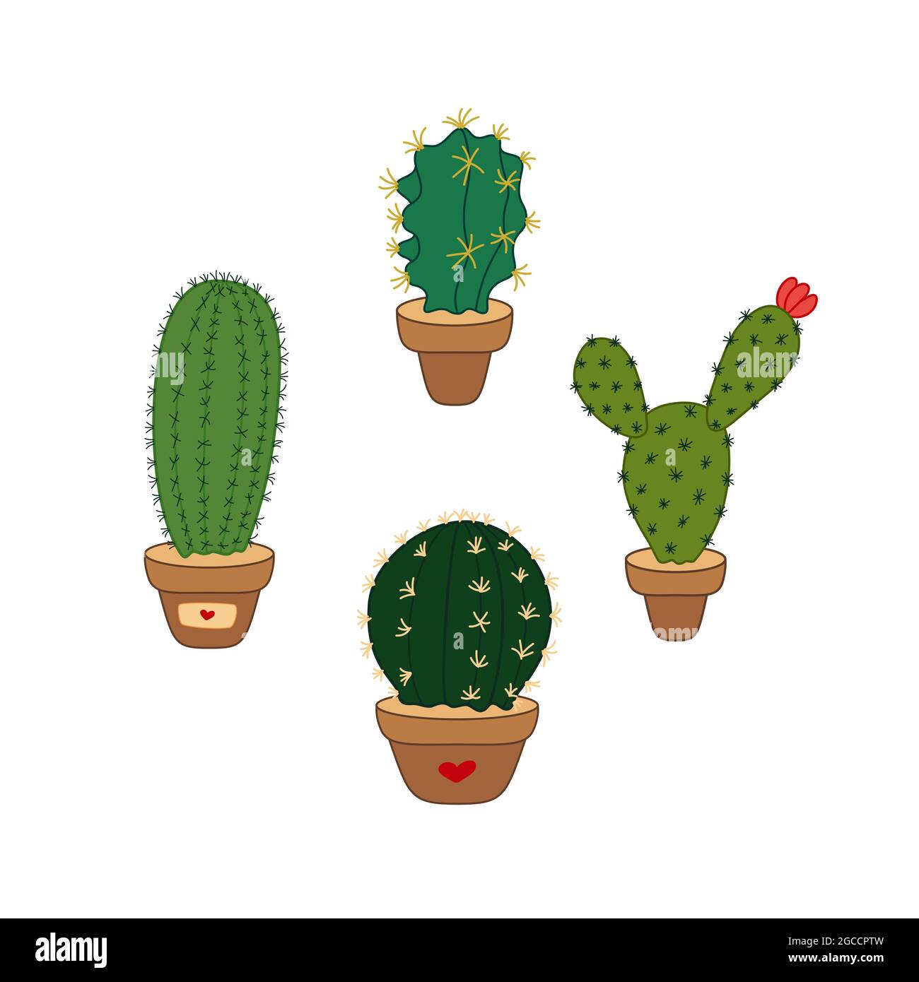 Hand-drawn set of cactus. Vector colorful illustration isolated on white  background. Decoration for greeting cards, posters, flyers, prints for  clothe Stock Vector Image & Art - Alamy