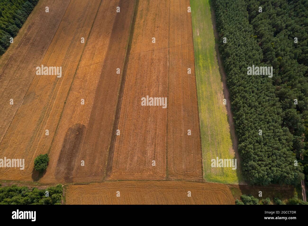 Aerial View Of Fields On Polish Countryside Stock Photo Alamy