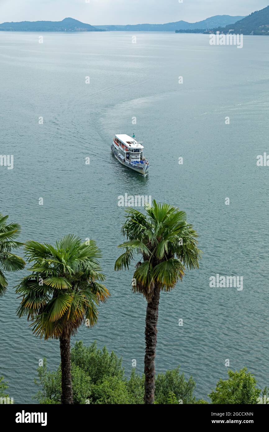 palm trees, liner approaching Santa Caterina del Sasso, Reno, Lake Maggiore, Lombardy, Italy Stock Photo