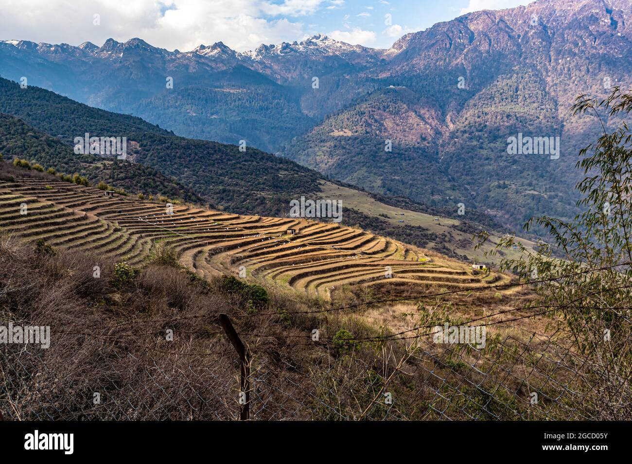 Terrace farming steep hi-res stock photography and images - Alamy