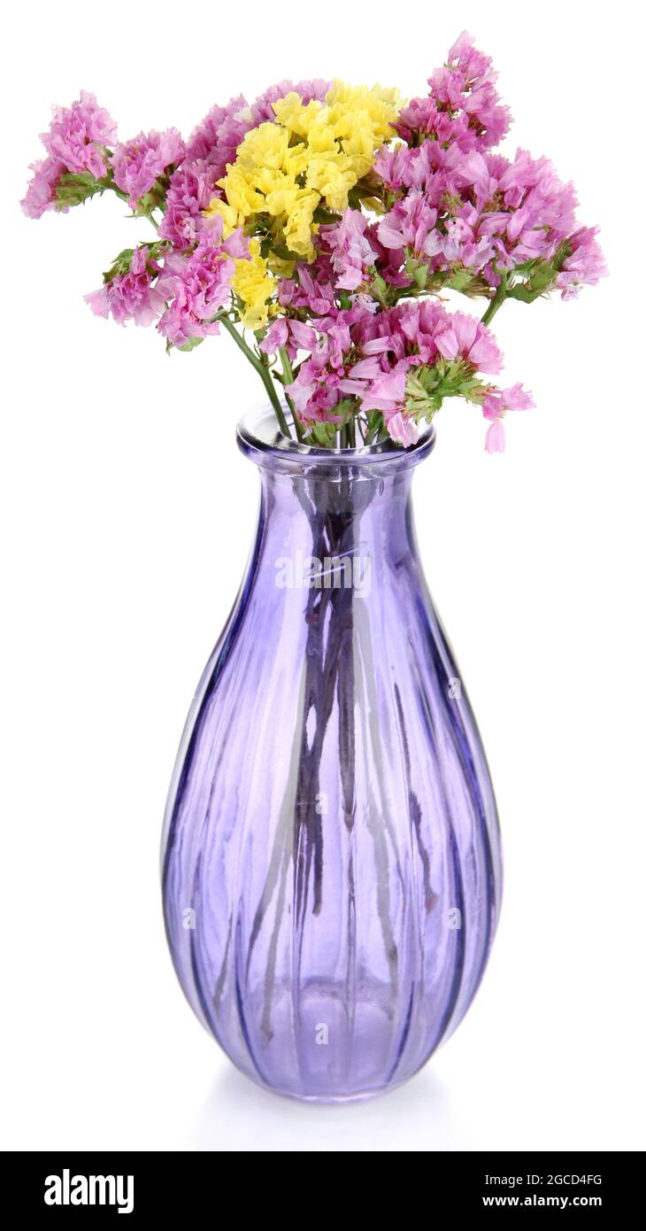Beautiful summer flowers in vase isolated on white Stock Photo - Alamy