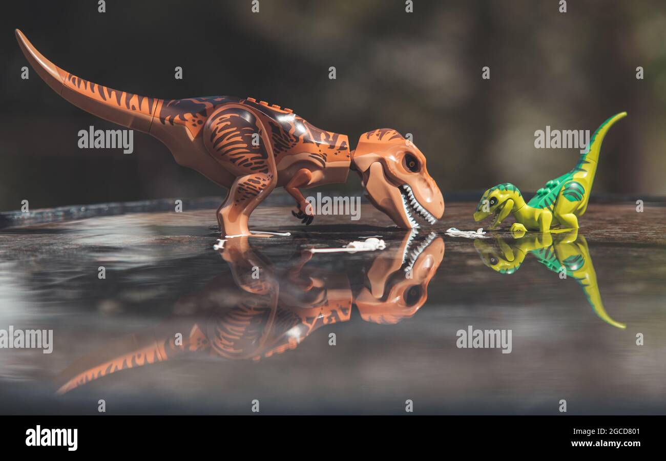 Lego dinosaurs hi-res stock photography and images - Alamy