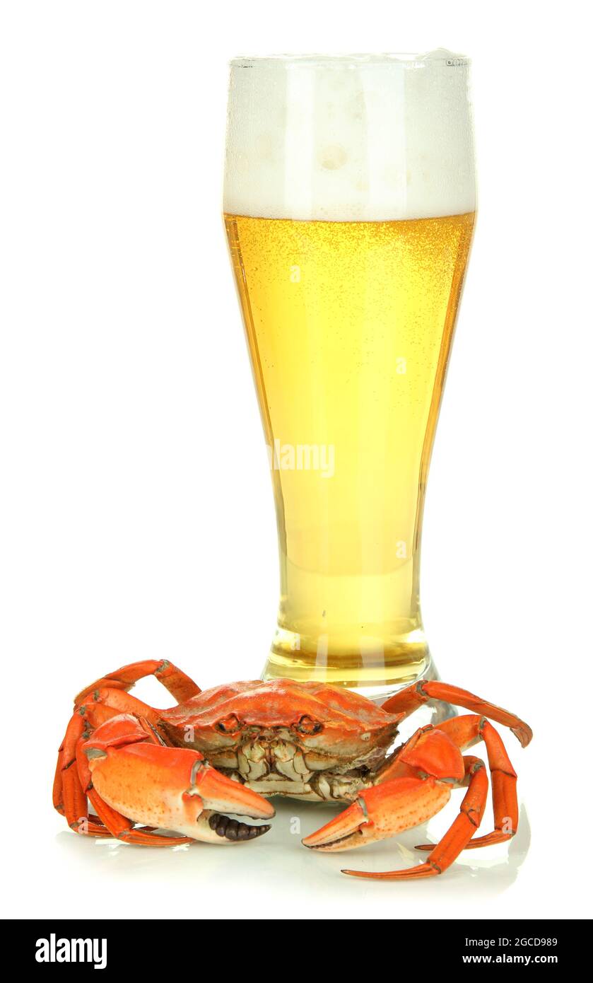 Boiled crab and beer, isolated on white Stock Photo Alamy
