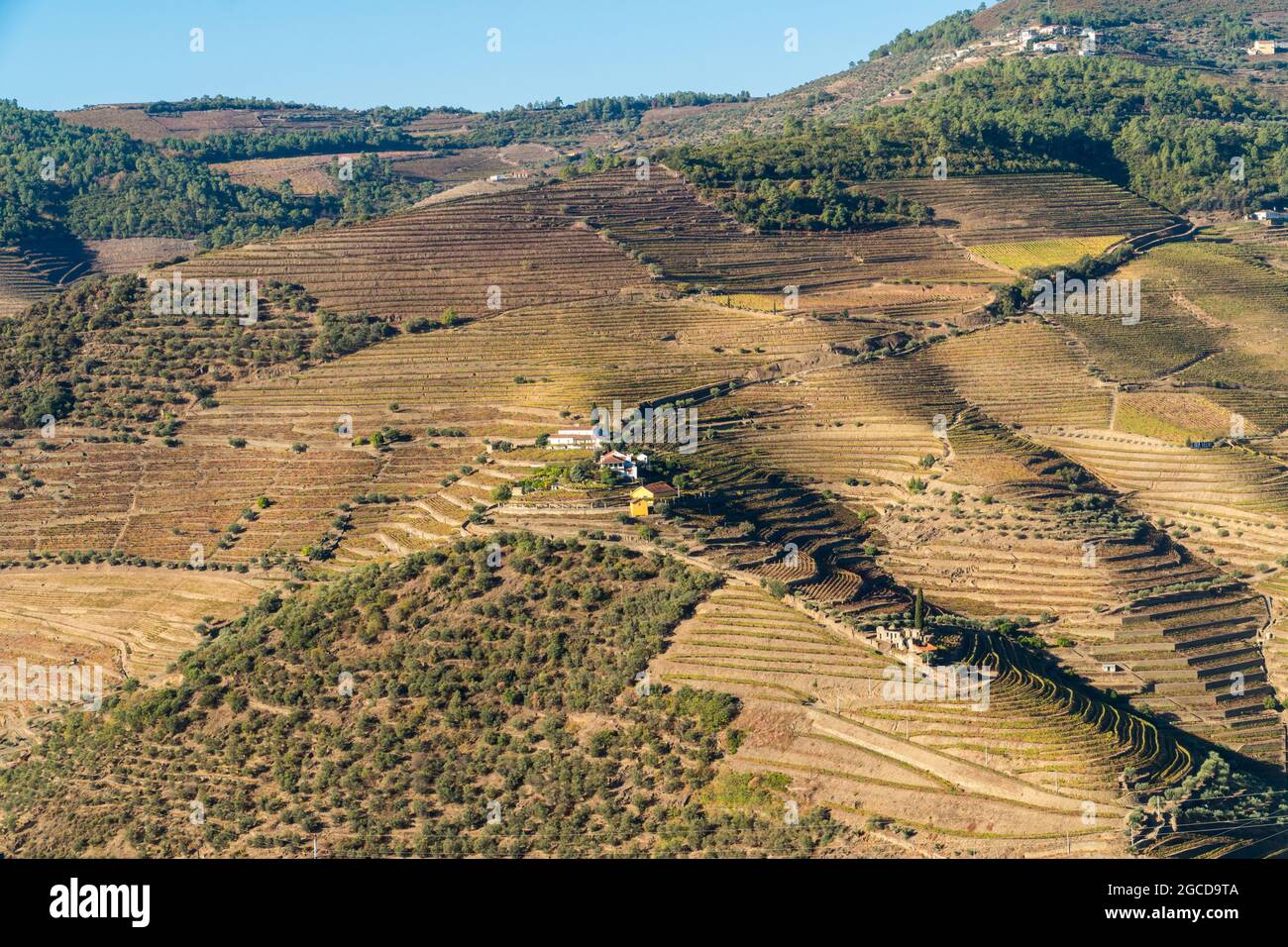 Morning sunny autumn view on quinta in Duoro valley near Pinhao village in Portugal. Travel destinations and wine tourism in Portugal Stock Photo