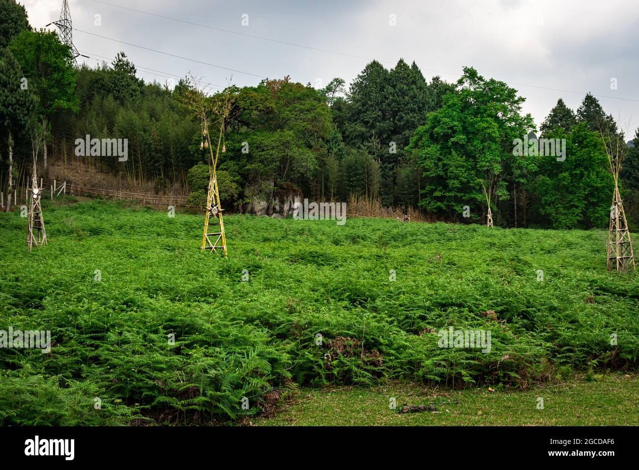 apathani tribe ritual site with religious sign at day image is taken at ziro arunachal pradesh india. Stock Photo