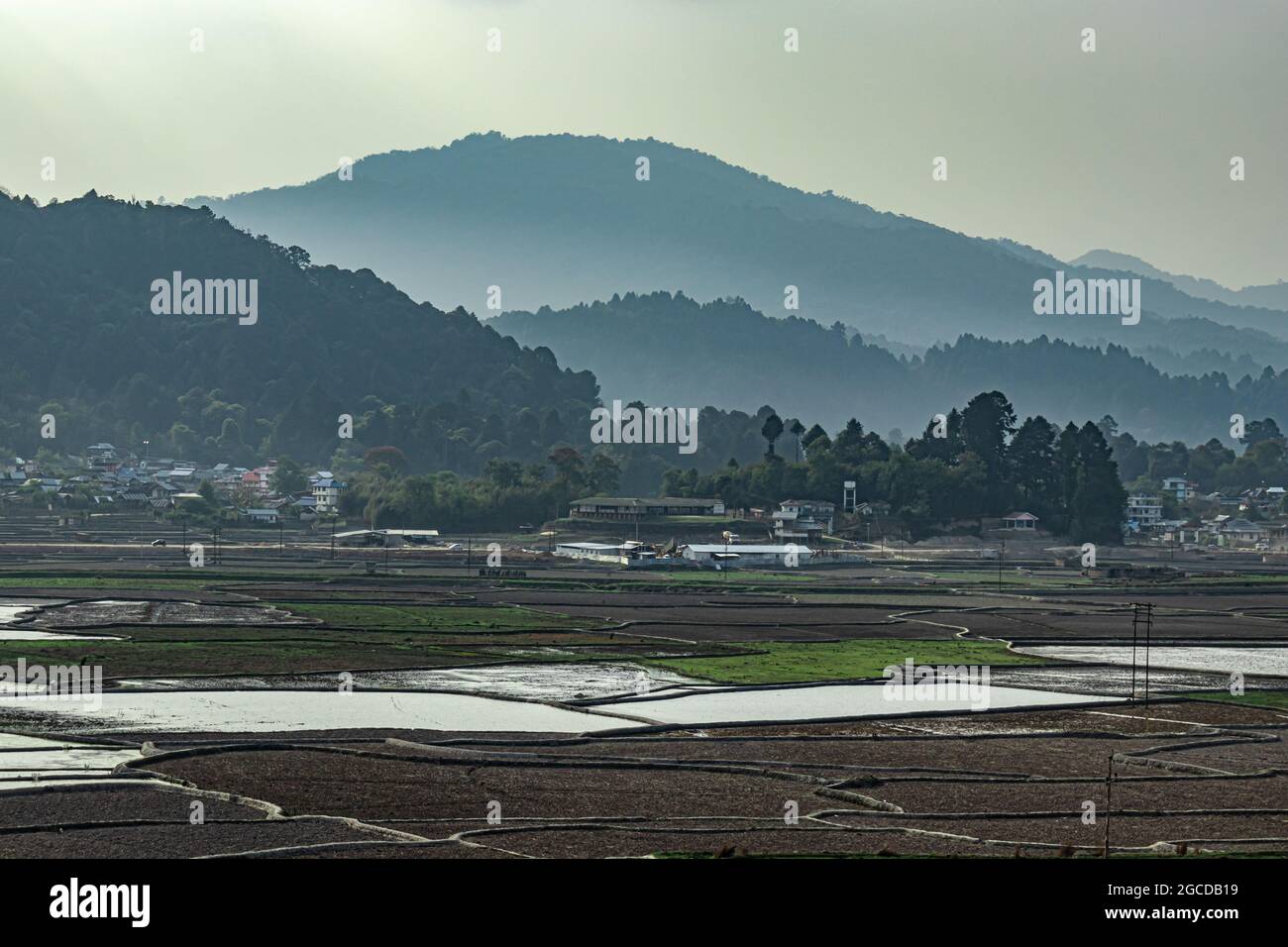 countryside tarnish framing rice field with mountain background at