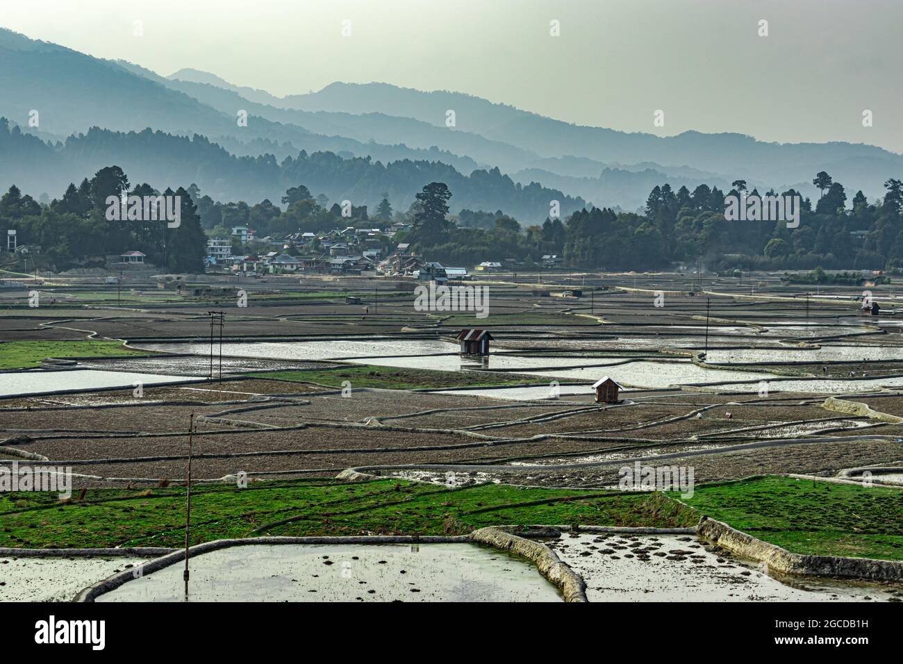 countryside tarnish framing rice field with mountain background at