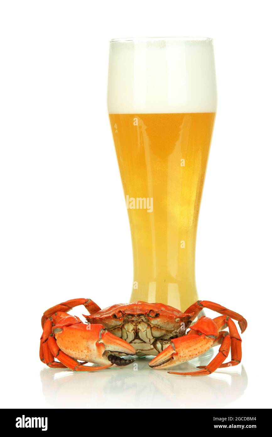 Boiled crab and beer, isolated on white Stock Photo Alamy