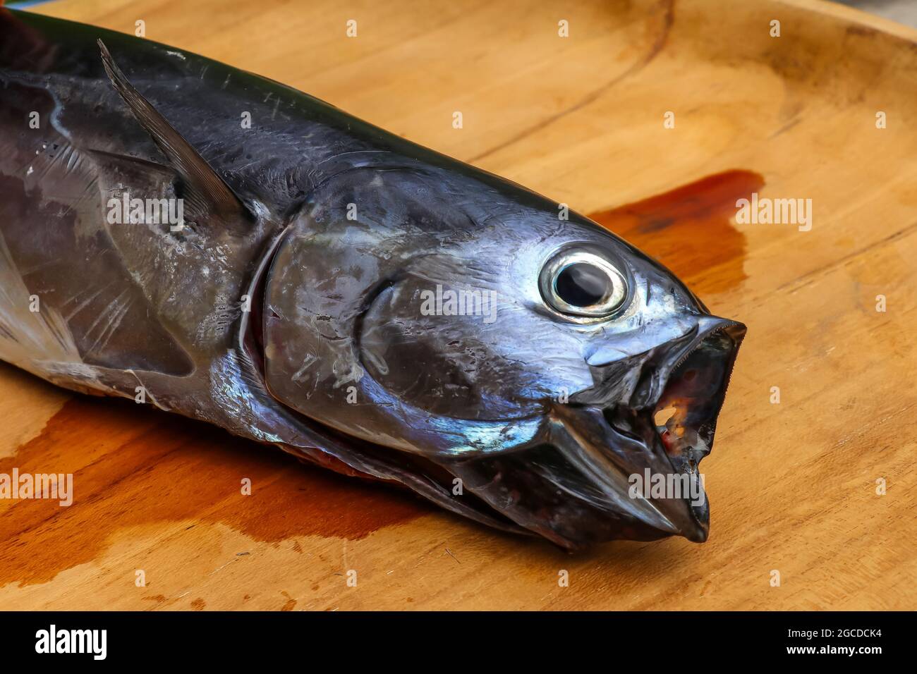 Close up of raw mackerel. Fresh fish with an open mouth on a wooden plank Stock Photo