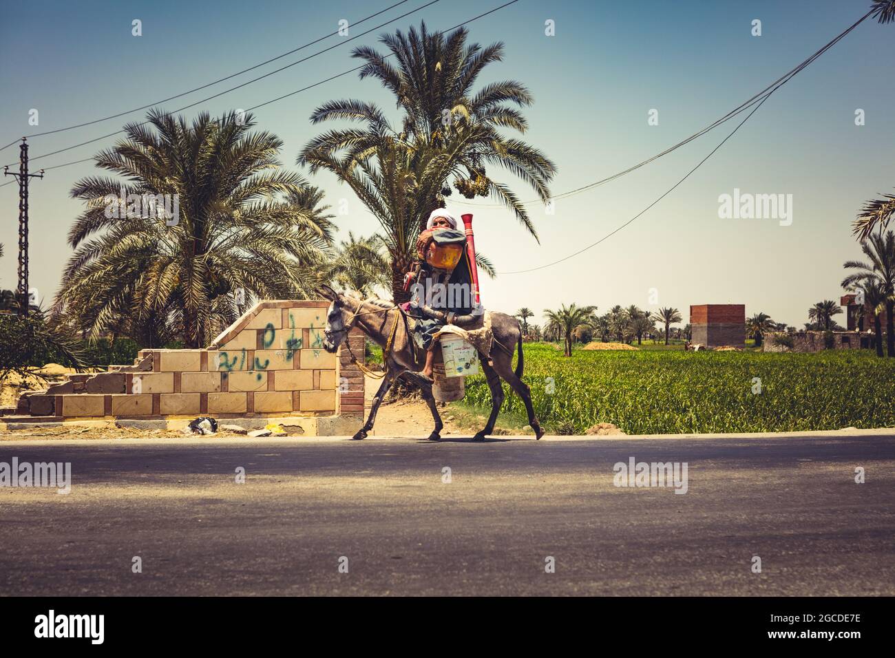 Busy streets of Cairo Egypt Stock Photo