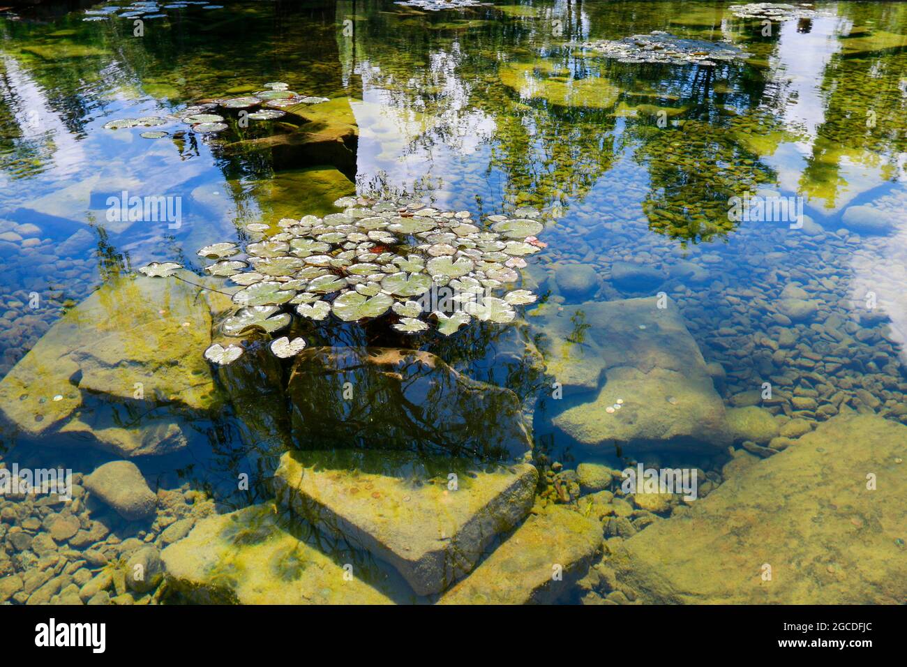 Stones in water beautiful hi-res stock photography and images - Alamy