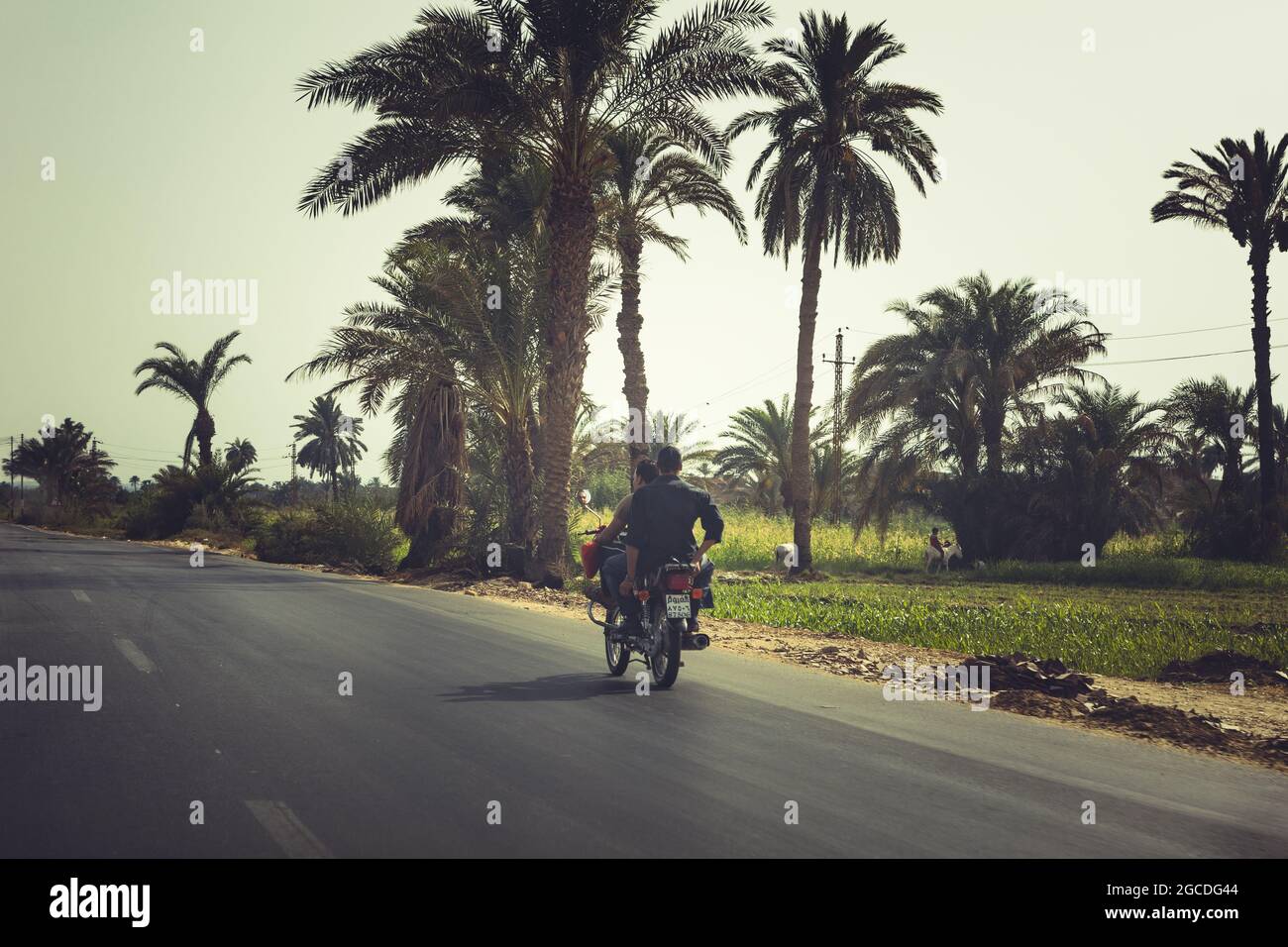 Busy streets of Cairo Egypt Stock Photo