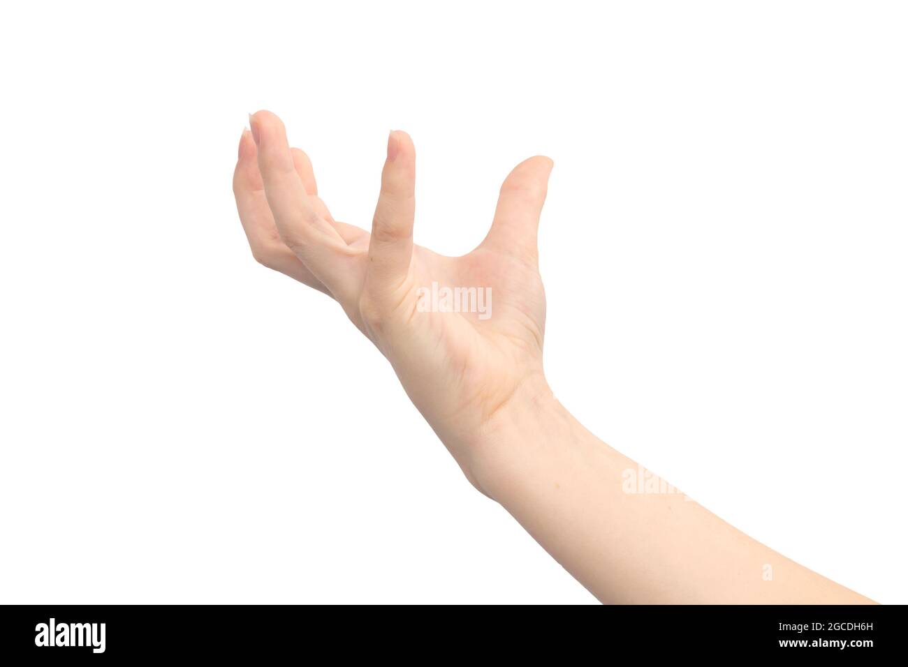 Hand gesture holding something, isolated on a white background, young ...