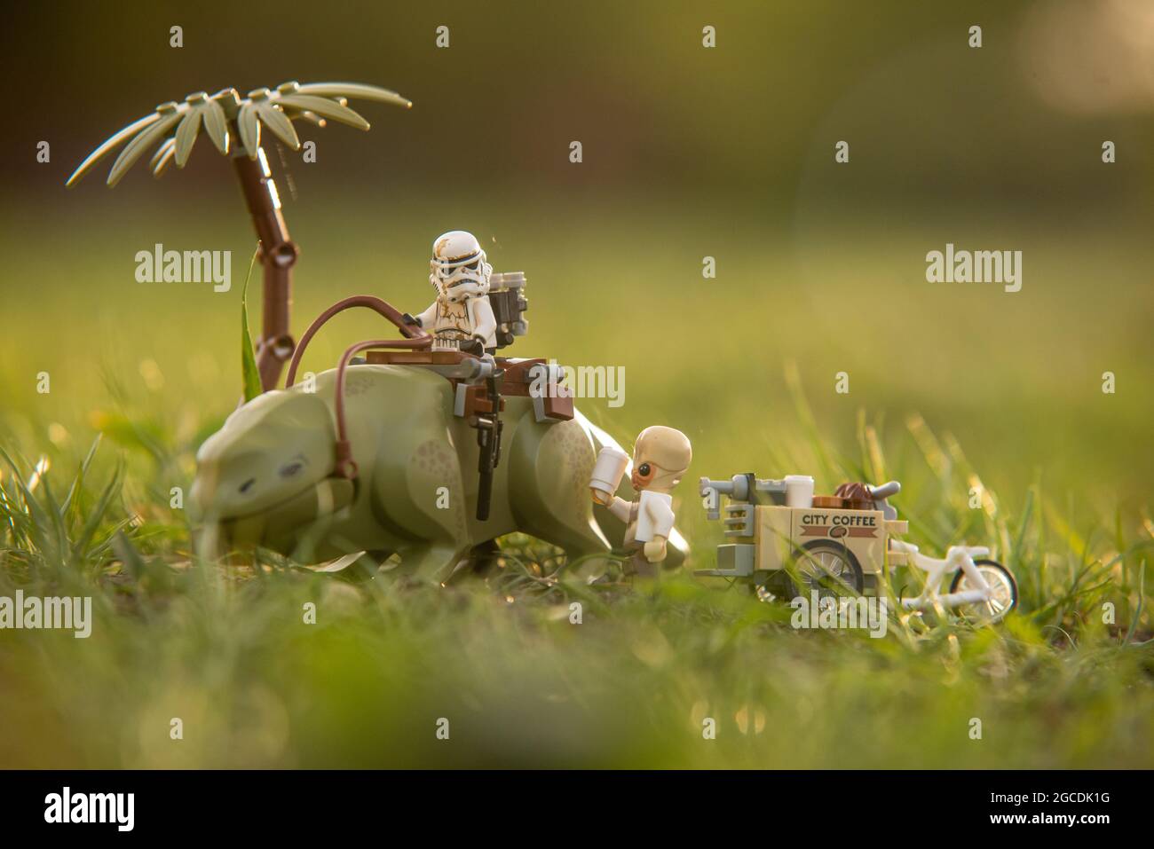 Lego star wars minifigure stormtrooper on Dewback Stock Photo - Alamy