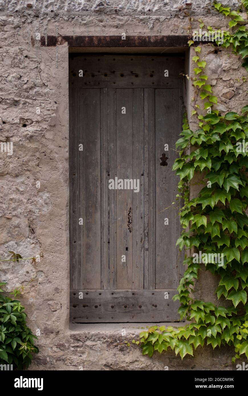 Alte Tür zum Keller eines ehemaligen Weinguts. - Old door at the cellar of a former vineyard. Stock Photo
