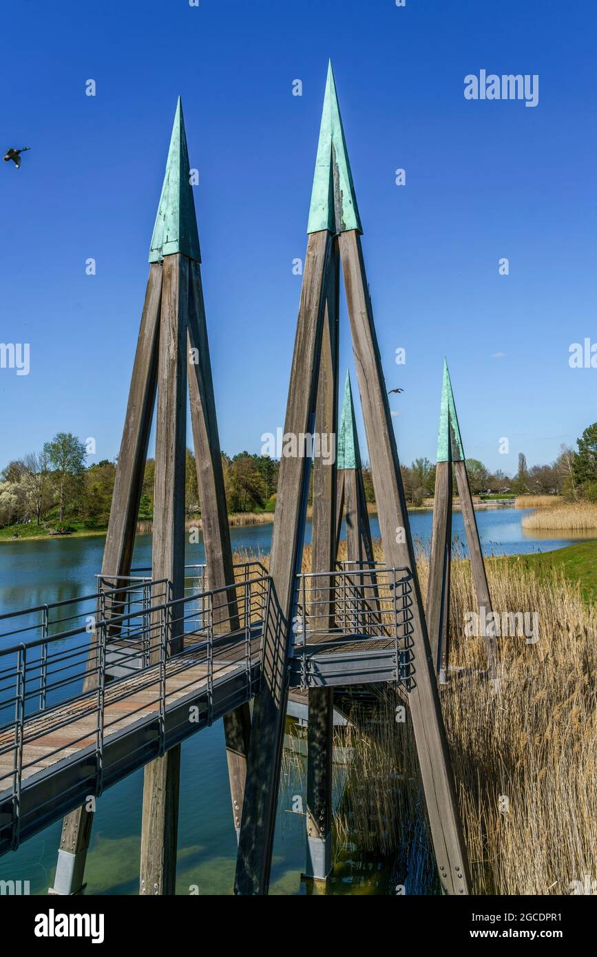 Schilf am See im Britzer Garten in Berlin im Fruehling, Holzbruecke