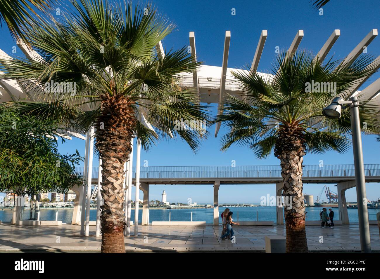 El Palmeral de las Sorpresas, Promenade, Hafen, Malaga, Costa del Sol, Provinz Malaga, Andalusien, Spanien, Europa, Stock Photo