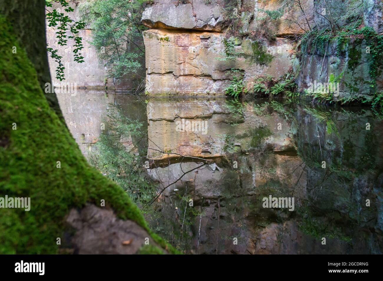 dreamlike reflection of rocks and green leaves in calm water of a quarry in a remote place in the magical forest Stock Photo