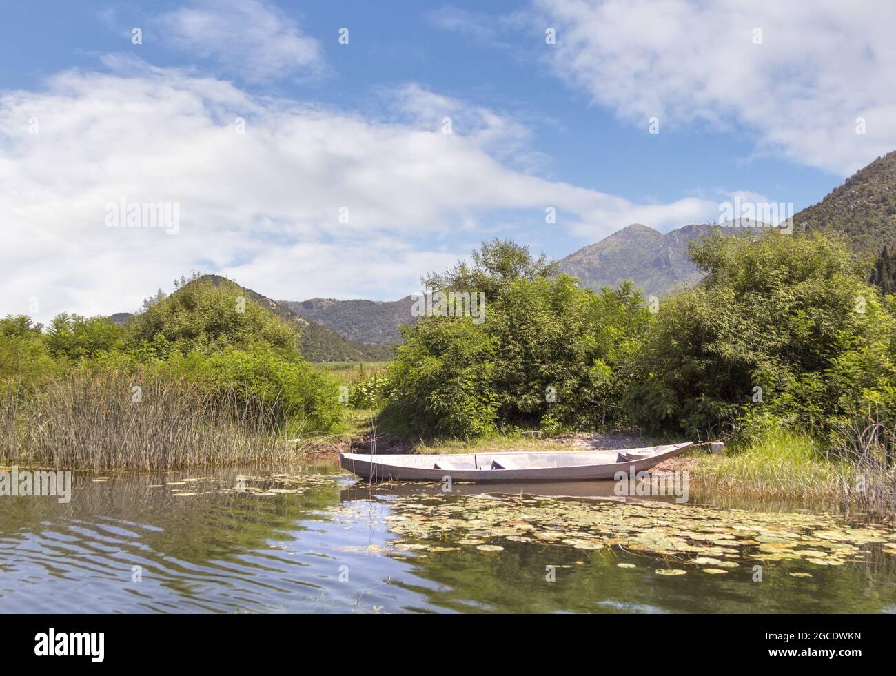 Empty fishing boat on the Crnojevica river on Skadar Lake National Park ...