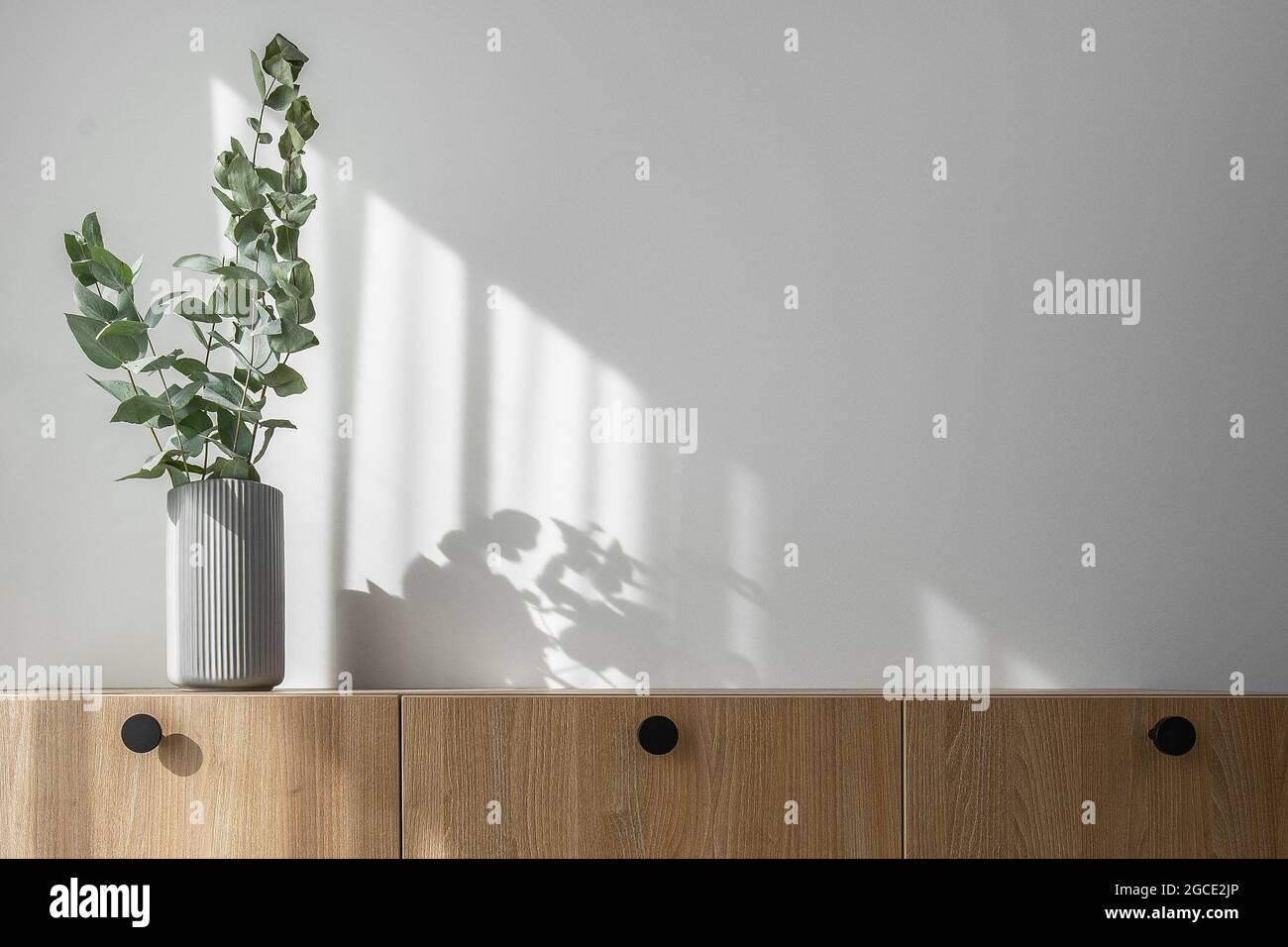 Dry eucalyptus branches in modern minimalist grey vase on wooden TV stand with beautiful shadows from sun on white wall Stock Photo