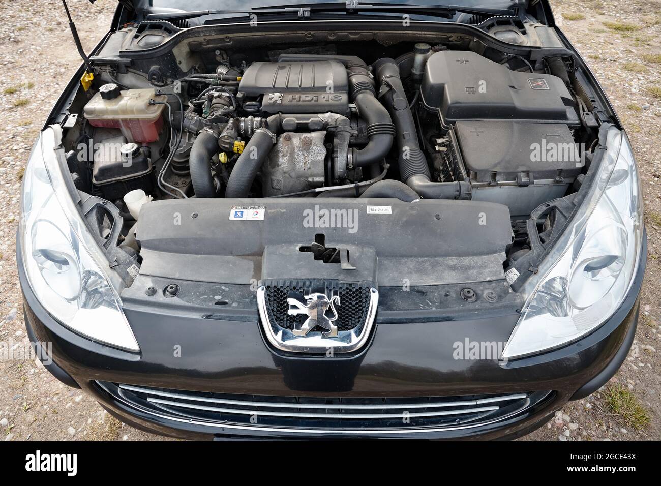 Berlin - April 2014: Peugeot 407 2003-2010 sedan pre facelift closeup  engine front view. Internal combustion engine, car parts, detailing Stock  Photo - Alamy