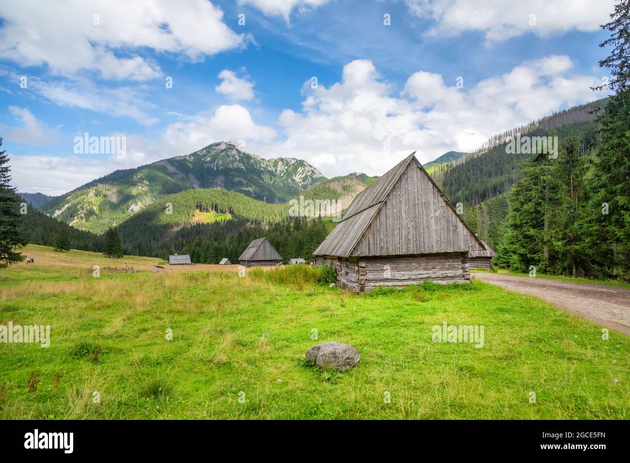 Landscape of Dolina Chocholowska - the longest and largest valley in the Polish Tatras Stock Photo