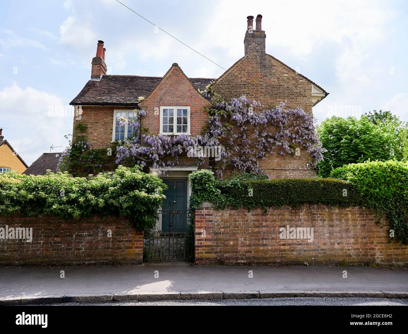 Wisteria on the front of a period cottage, Bennington, East Hertfordshire, four miles east of Stevenage. Stock Photo