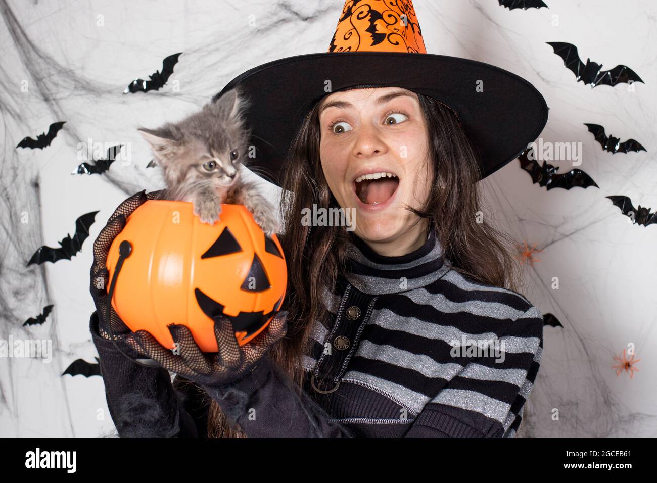 A woman in a witch costume in a hat holds a bucket pumpkin with cat. Halloween people and animal. Stock Photo
