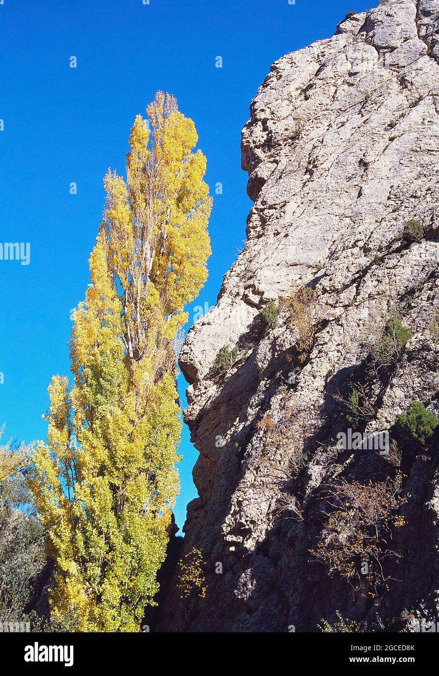 Cliff. Geological Park, Aliaga, Teruel province, Aragon, Spain. Stock Photo