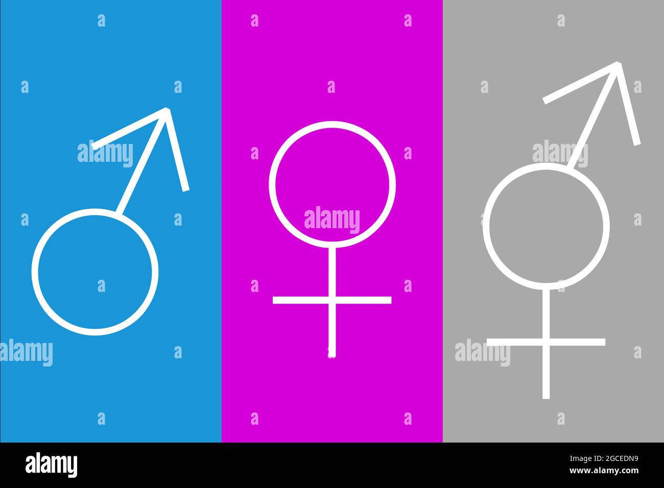 An illustration of three gender signs distinguished by signs and colors ...