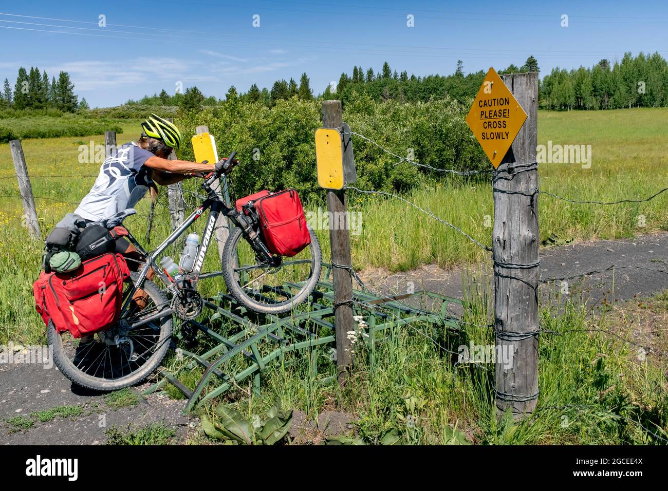 ID00786-00...IDAHO - Vicky Spring crossing a cattle guard on the Yellowstone Branch Line Trail in Fremont County along the Great Divide Mountain Bike Stock Photo