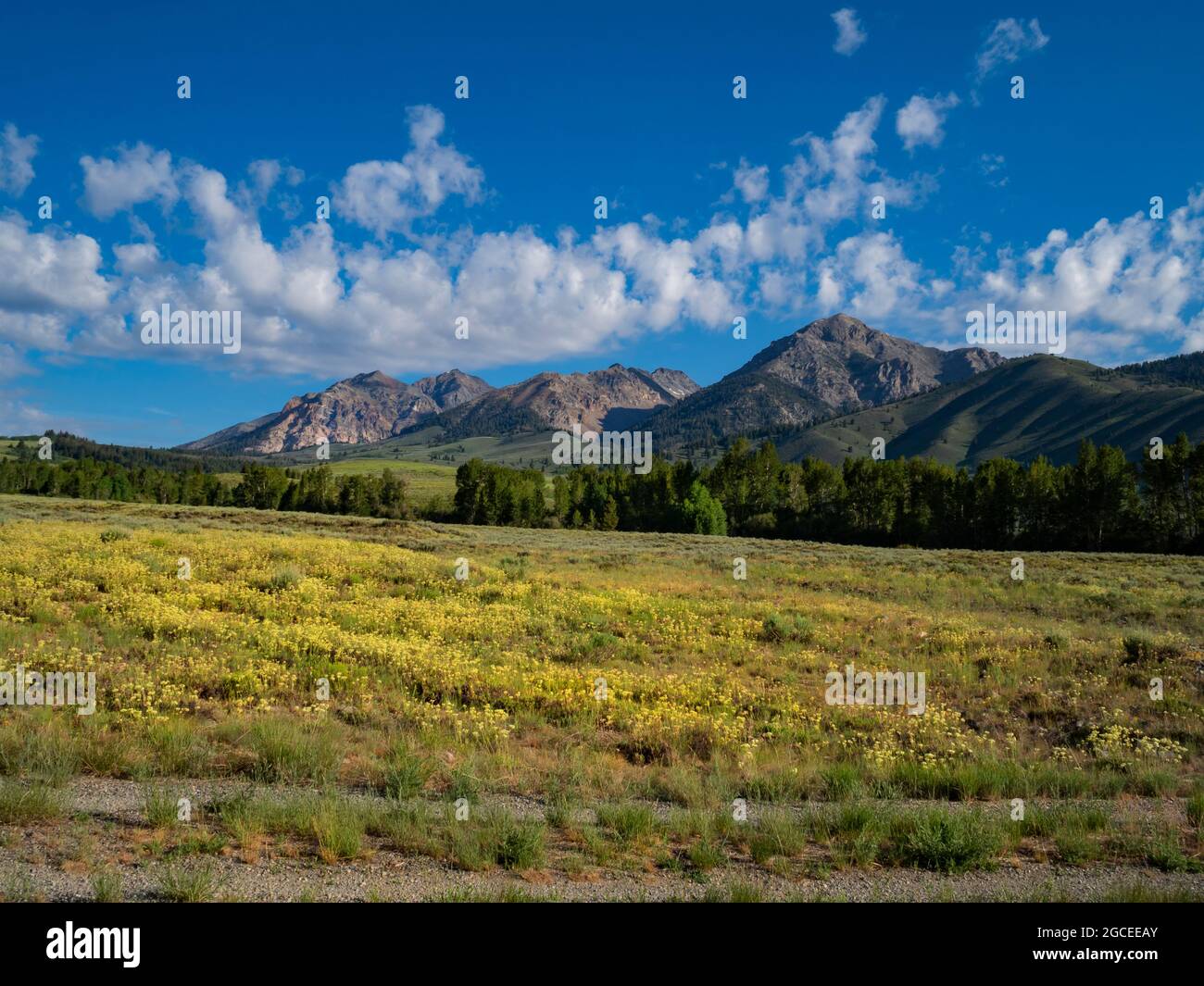ID00799-00-IDAHO - The Boulder Mountains viewed from the Harriman Trail. Stock Photo