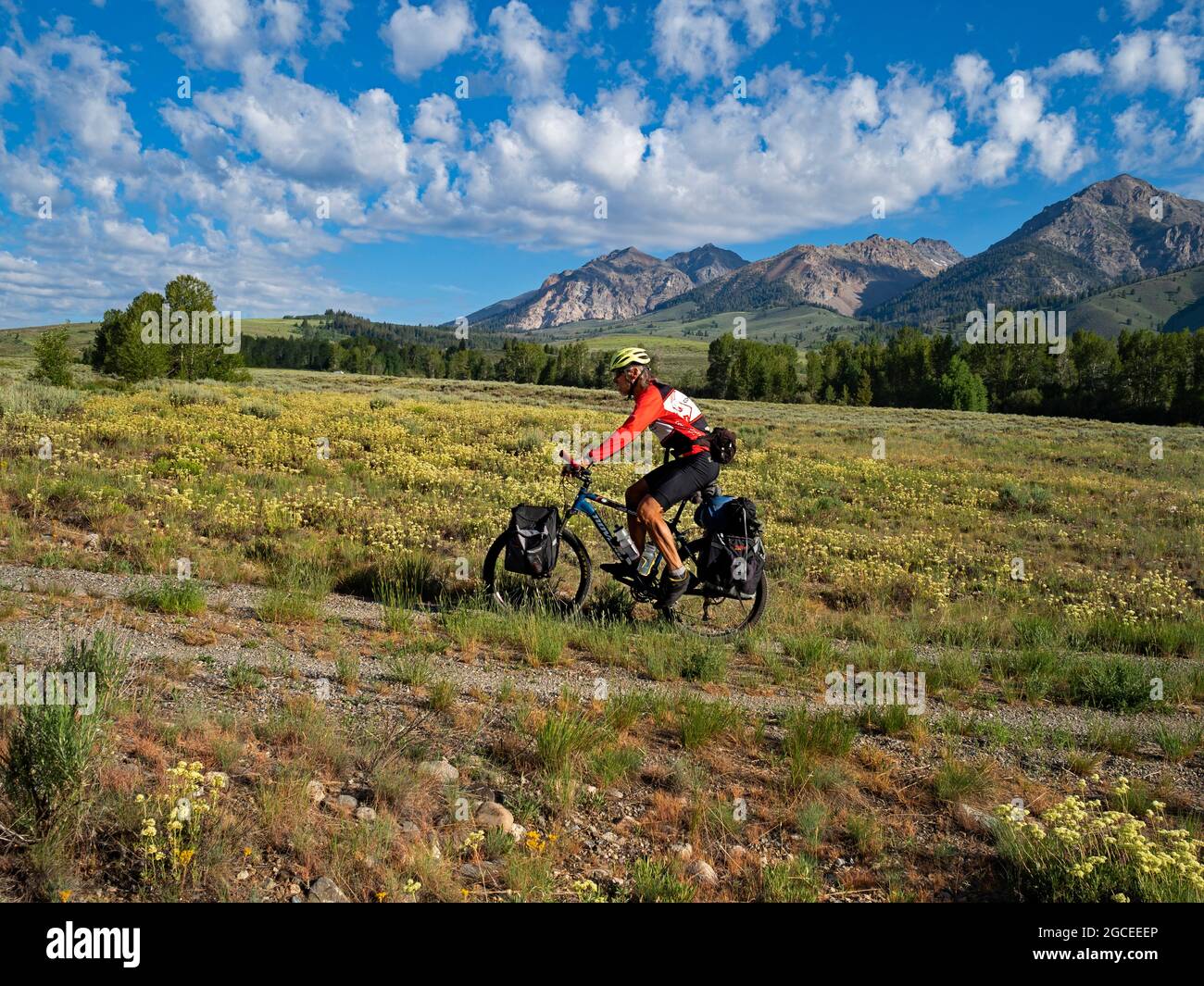 ID00801-00...IDAHO - Riding the Harriman Trail through flower covered meadows below the Boulder Mountains north of Ketchum, a scenic section of Advent Stock Photo