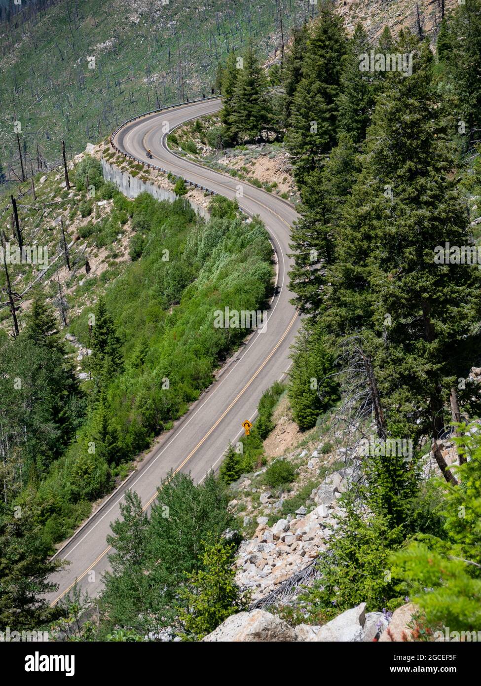 ID00811-00...IDAHO - Cyclist descending the paved road from Warm Lake Summit. Stock Photo