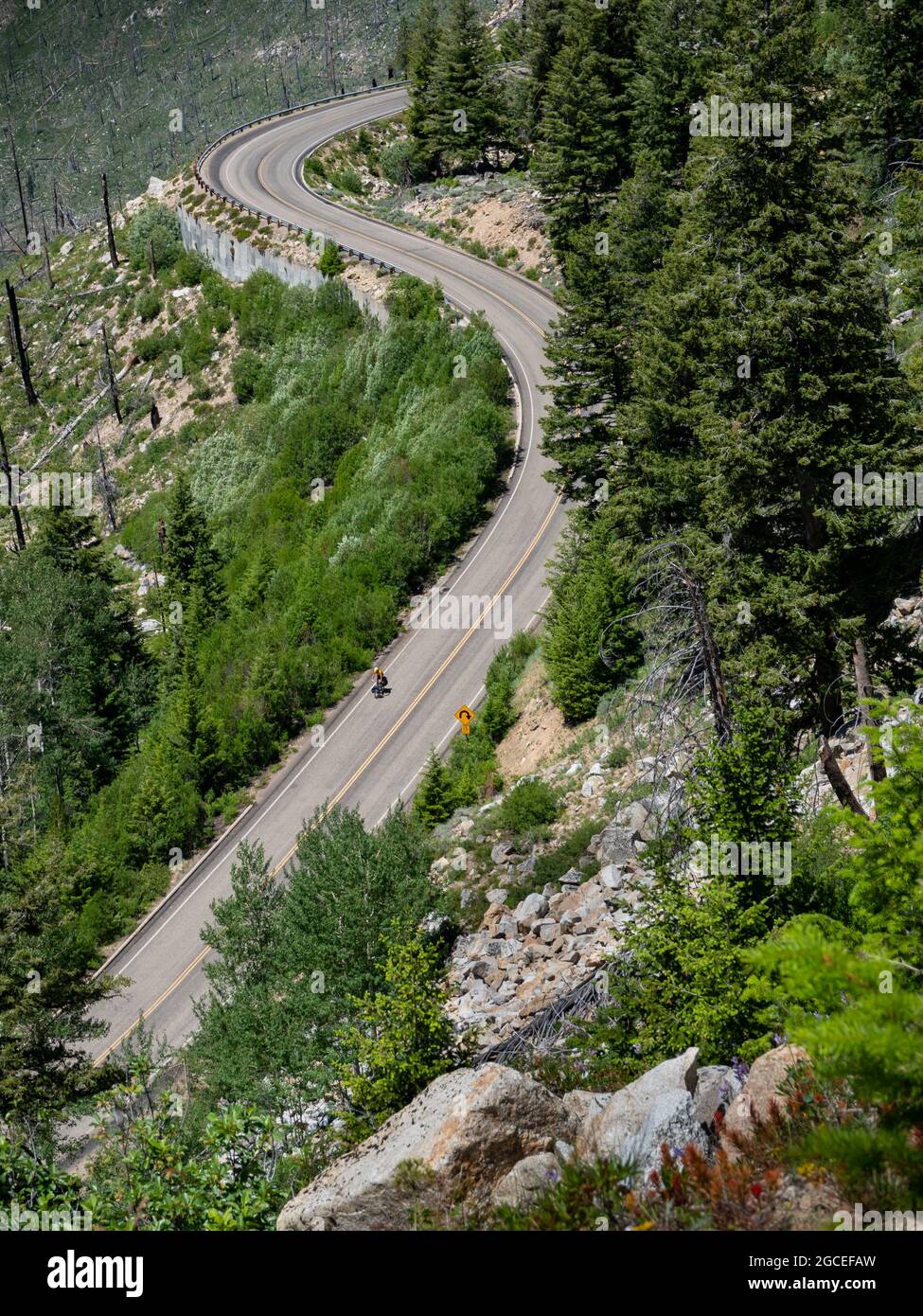 ID00812-00...IDAHO - Cyclist descending the paved road from Warm Lake Summit. Stock Photo