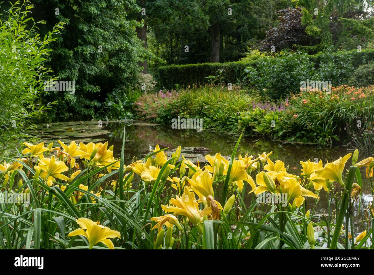 Longstock Water Gardens in Hampshire, England, UK, during August or summer Stock Photo