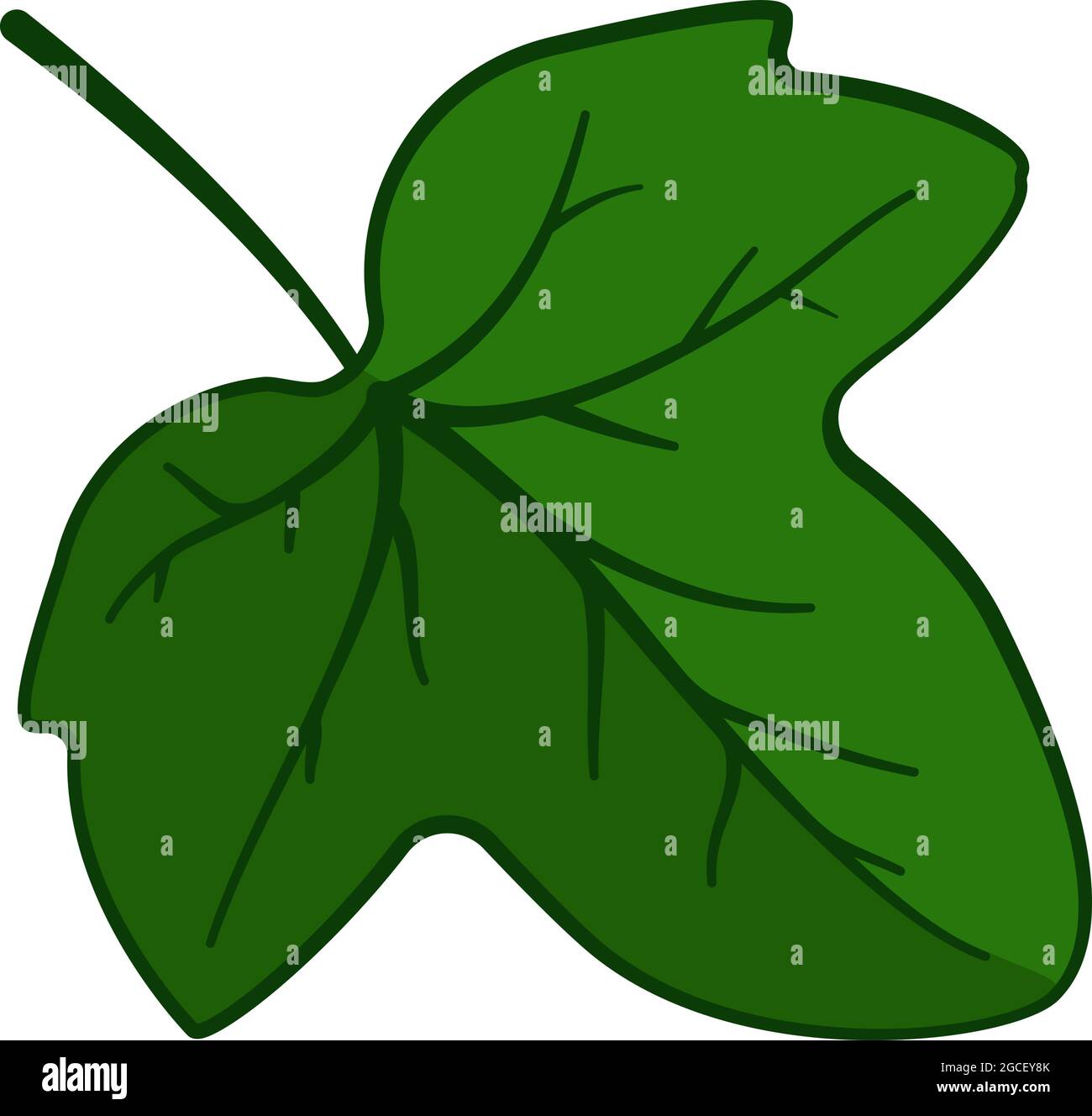 Ivy Leaf Cliparts, Stock Vector and Royalty Free Ivy Leaf Illustrations