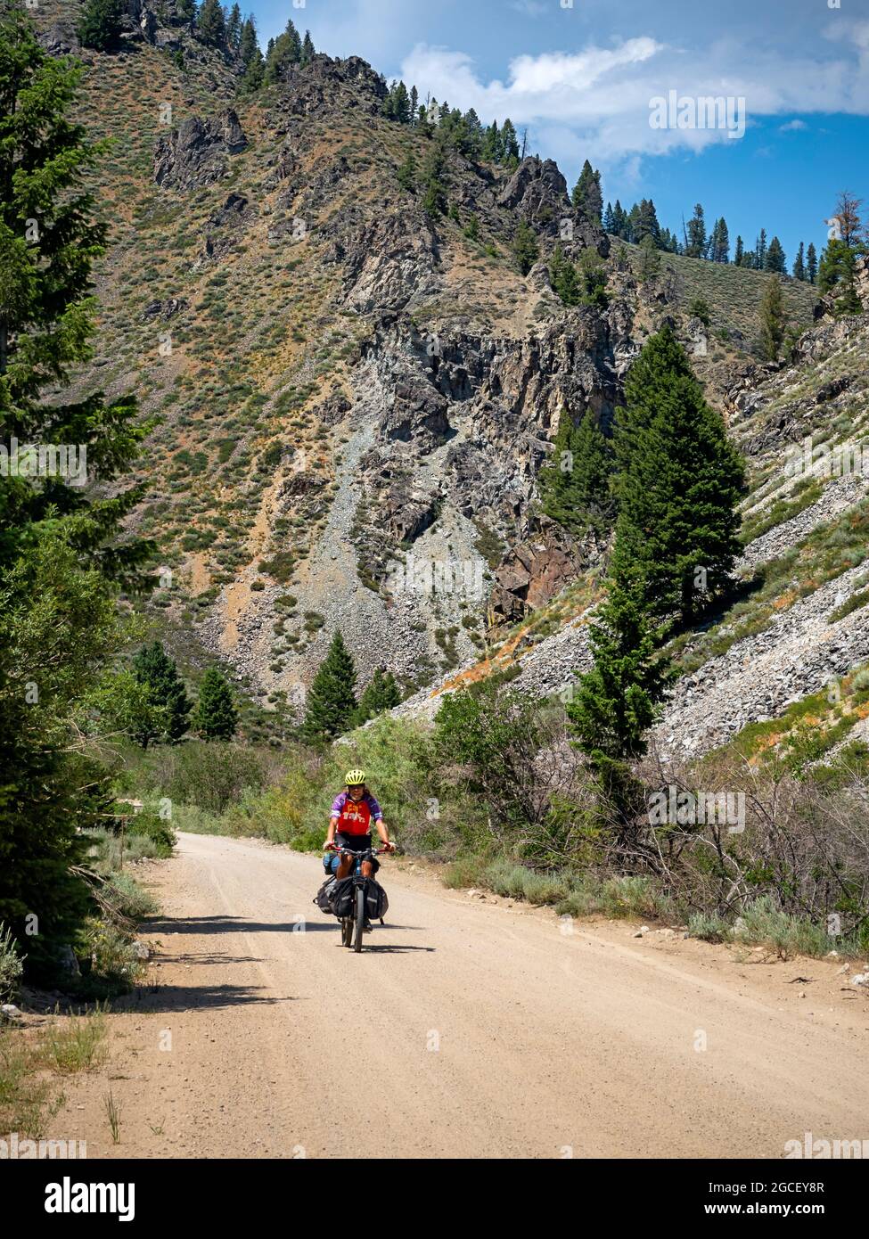 ID00829-00...IDAHO - Riding Forest Road 227, heading towards Dollarhide Summit, on the Adventure Cycling Idaho Hot Springs Route. Stock Photo