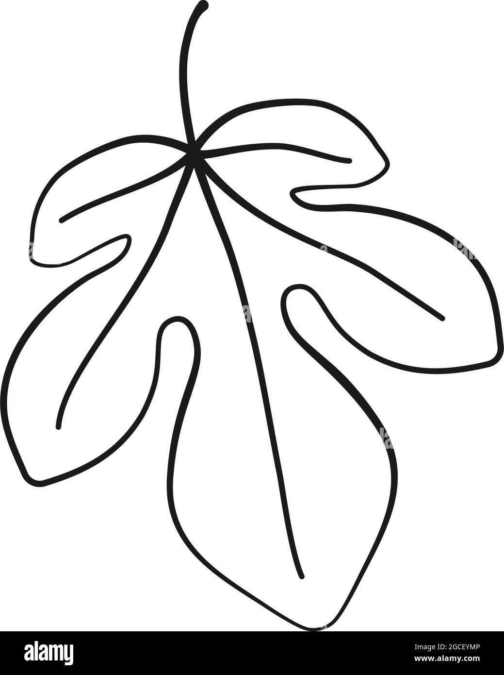 Fig leaf in outline vector icon Stock Vector Image & Art Alamy