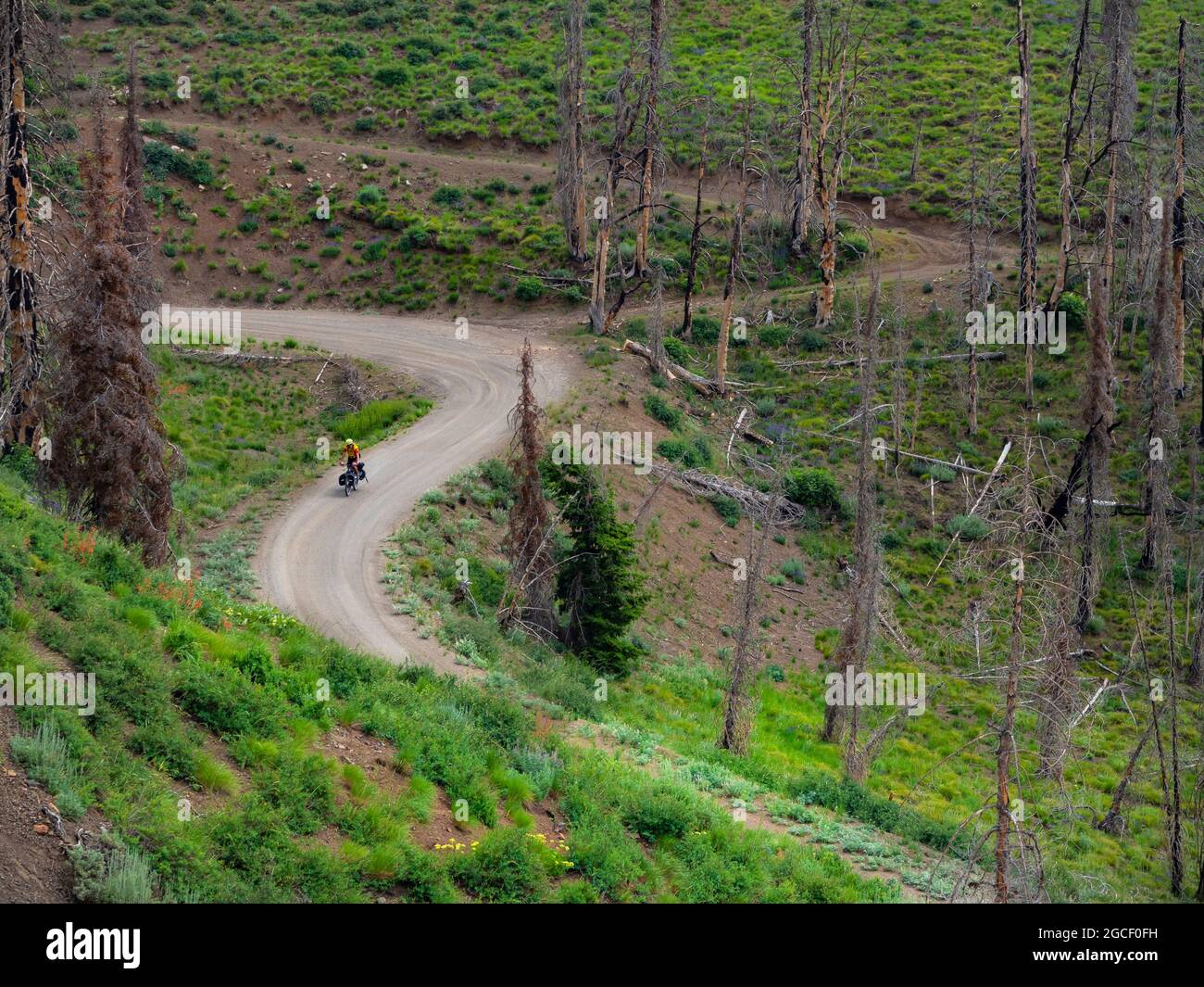 ID0083700... IDAHO Cyclist descending the switchbacks below the