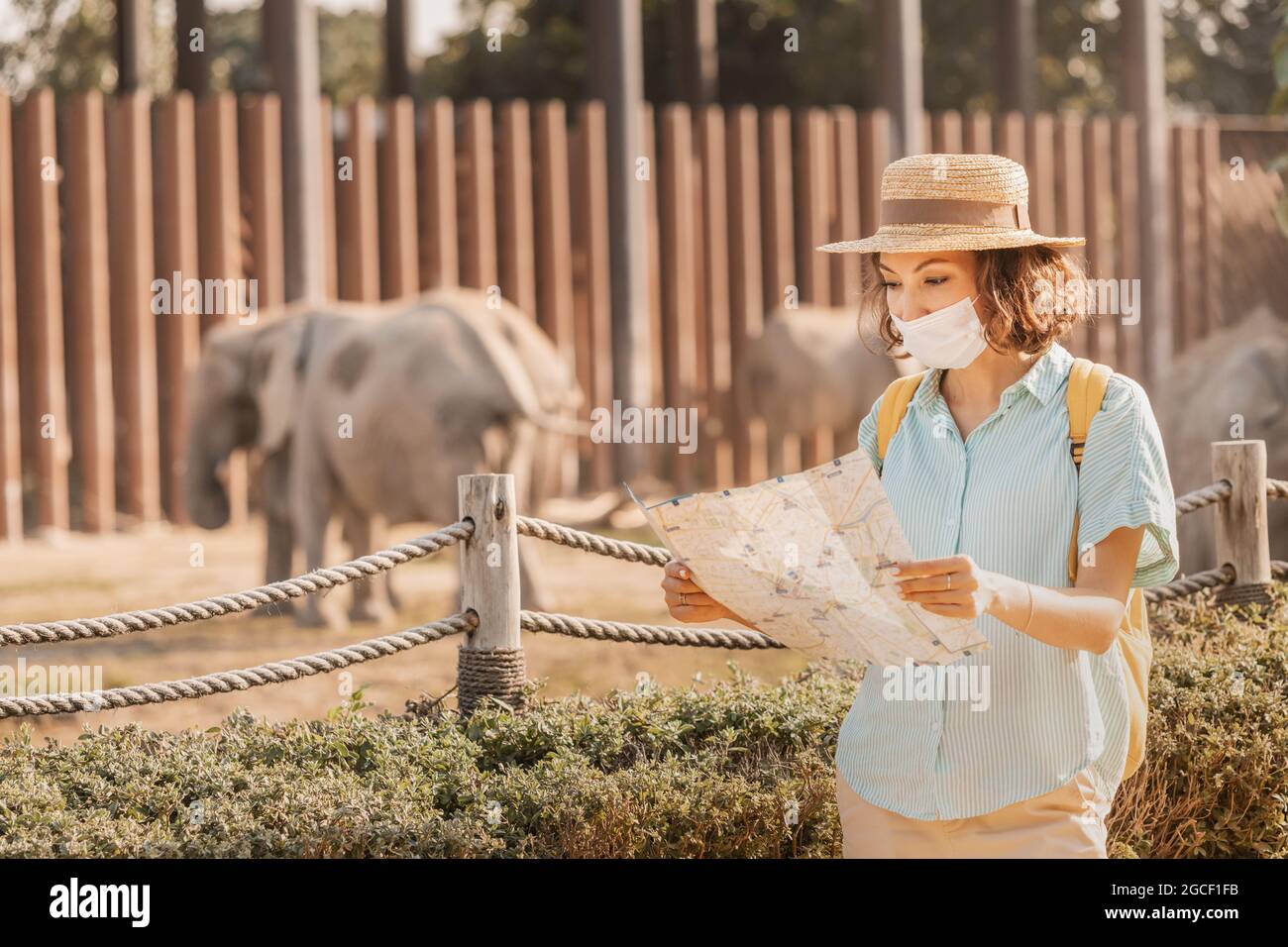 Page 2 Zoo Visitors Elephants High Resolution Stock Photography And Images Alamy