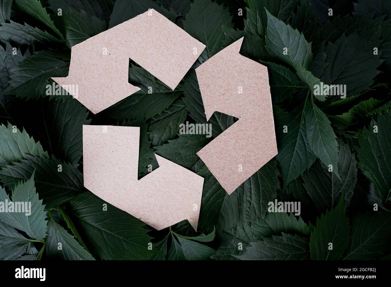 Reuse symbol on a background of green leaves. Zero waste lifestyle