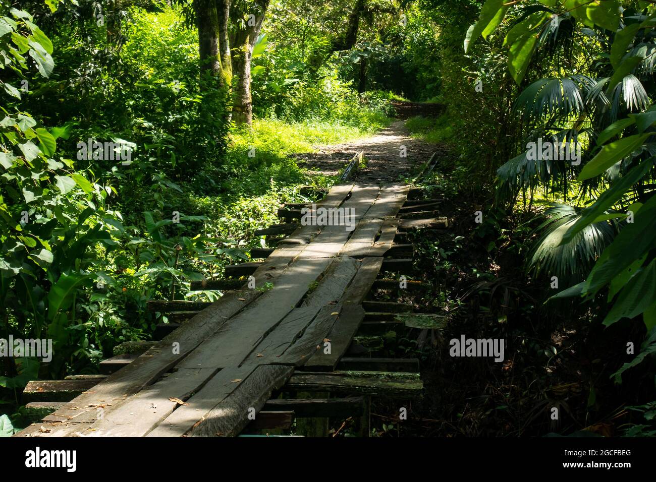 Rustic Bridge Built with Wooden Planks to Cross the River Stock Photo ...