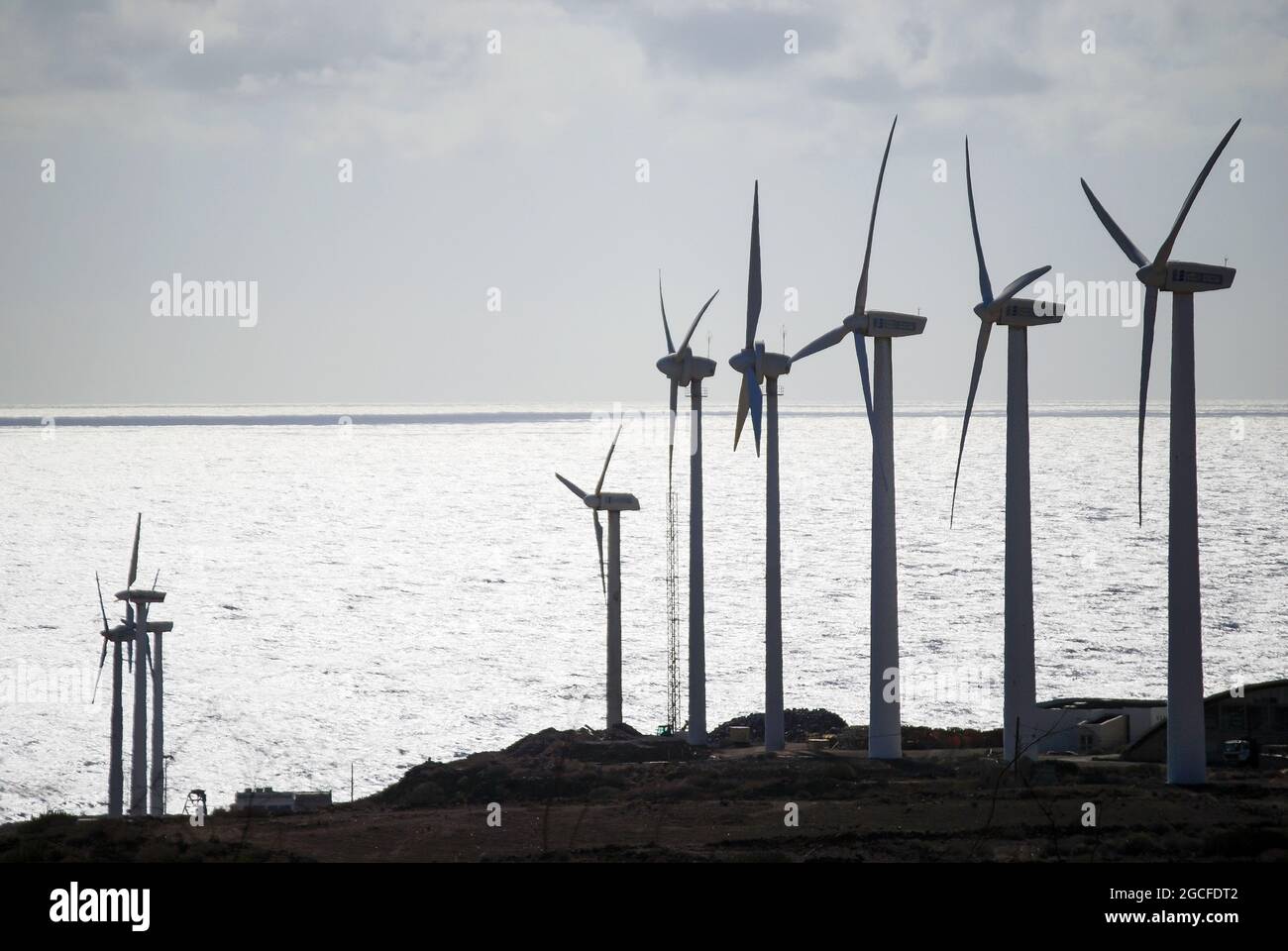 Wind turbines by sea, Parque Eolico, El Medano, Tenerife, Canary Islands, Spain Stock Photo