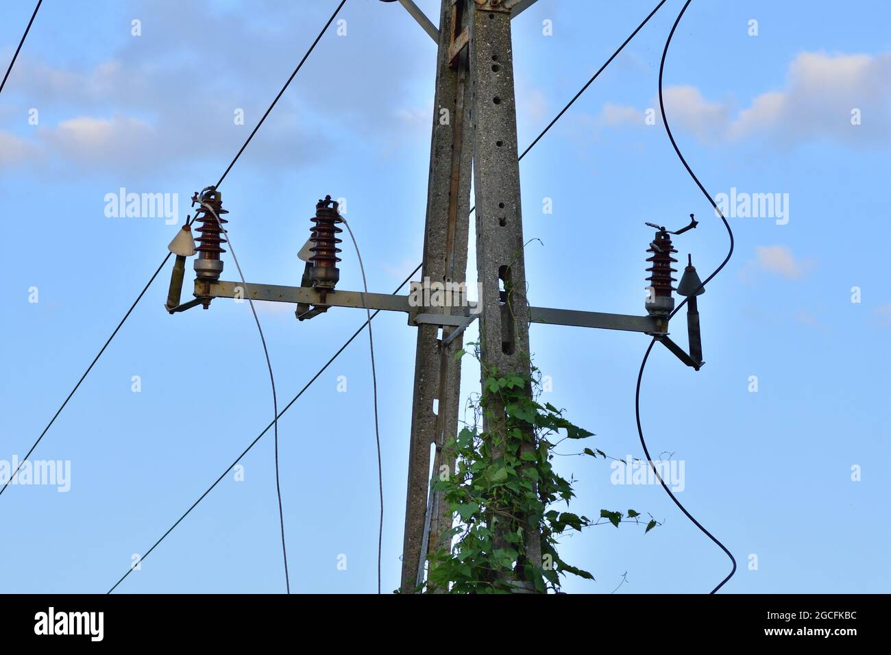 Old power pole disconnected from electricity, insulators and cables. Stock Photo